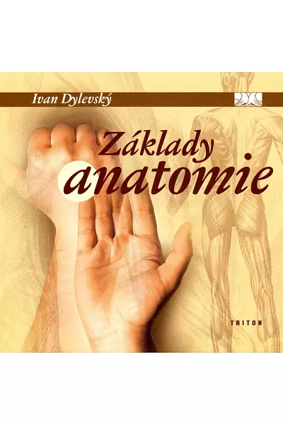 Základy anatomie photo