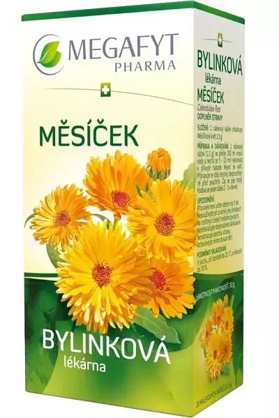 Květ měsíčku photo