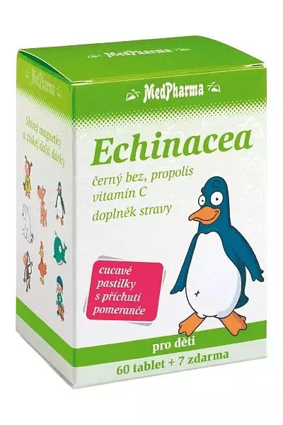 Echinacea pro děti photo