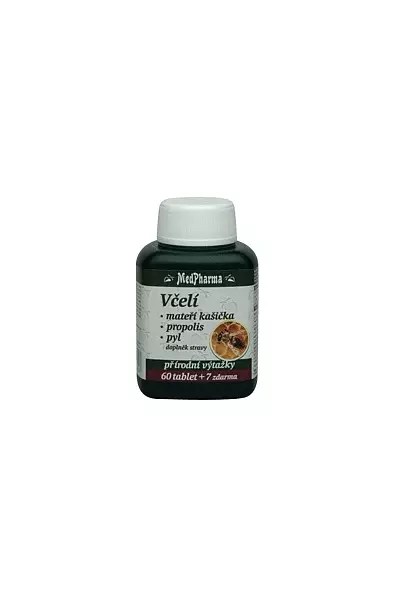 Včelí mateří kašička, propolis, pyl photo