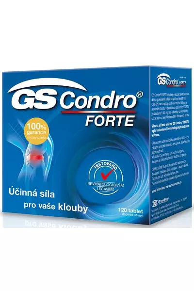 GS Condro Forte photo