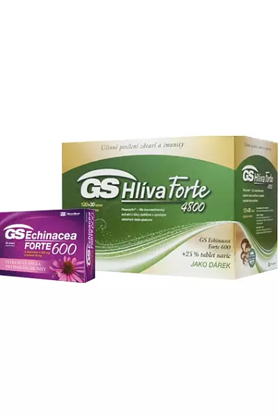 GS Hlíva forte photo