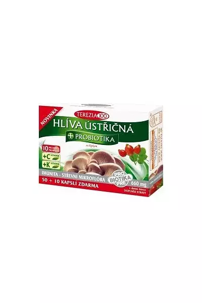 Hlíva ústřičná + probiotika + šípek photo