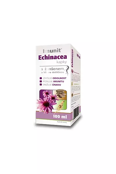 Echinacea kapky photo