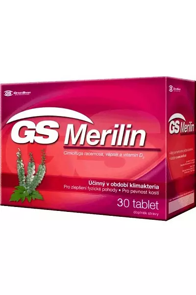 GS Merilin photo