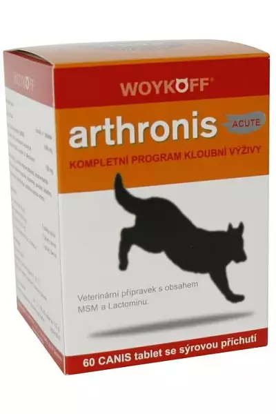 Arthronis acute canis photo