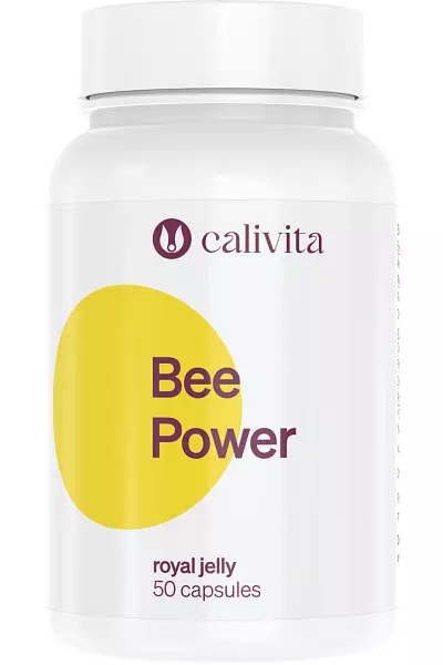 Bee Power photo