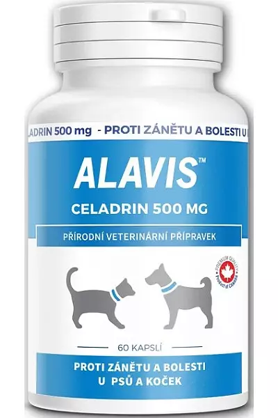 Alavis Celadrin 500 mg photo