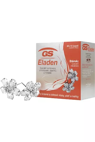 GS Eladen photo
