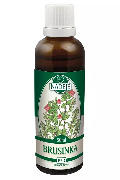 Brusinka – tinktura z pupenů photo