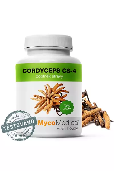 Cordyceps cs-4 photo