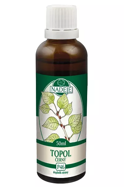 Topol černý – tinktura z pupenů photo