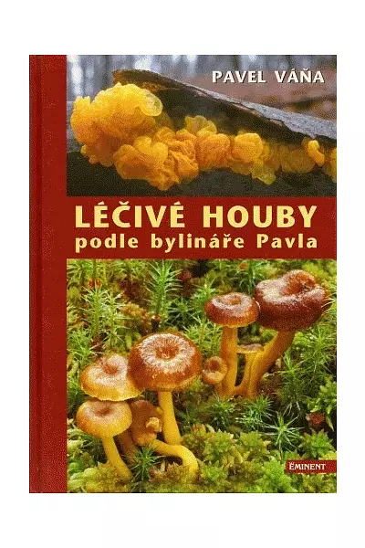 Léčivé houby podle bylináře Pavla photo