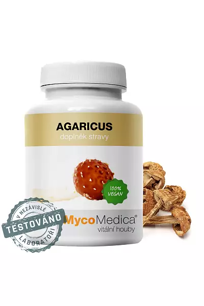 Agaricus photo