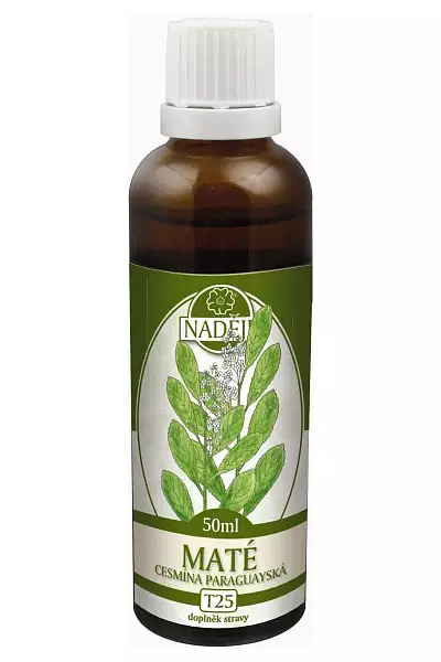 Maté – bylinná tinktura photo