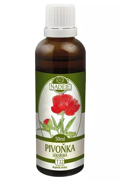 Pivoňka lékařská – bylinná tinktura photo