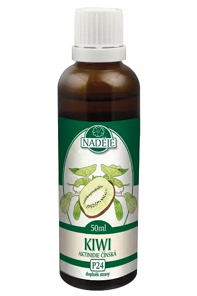 Kiwi – tinktura z pupenů photo