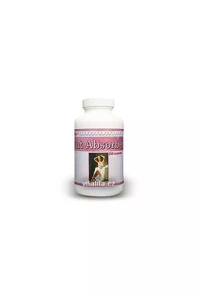 Fat Absorber photo