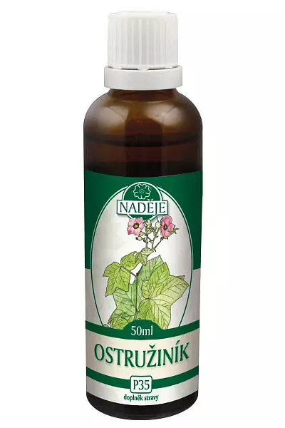 Ostružiník – tinktura z pupenů photo
