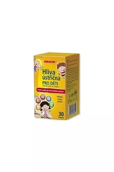 Hlíva ústřičná pro děti photo