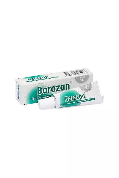 Borozan photo
