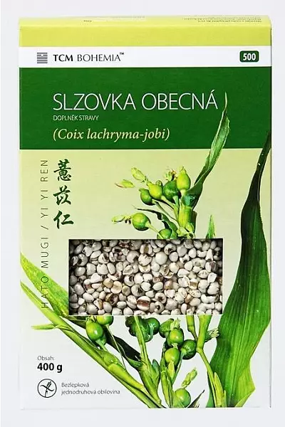 Slzovka obecná photo