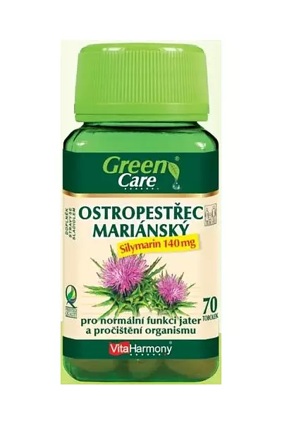 Ostropestřec Mariánský – Silymarin photo