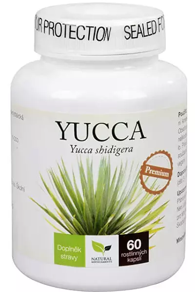 Yucca Premium photo