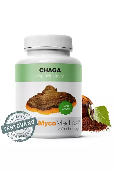 Chaga photo