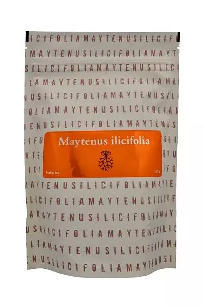 Maytenus ilicifolia photo