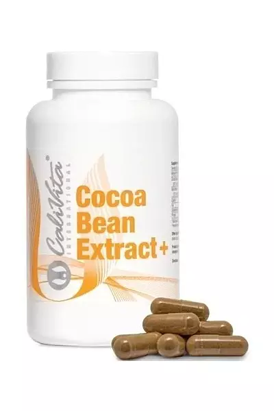 Cocoa bean extrakt photo