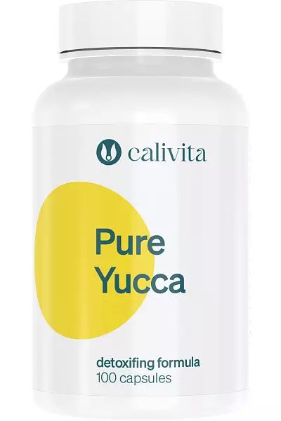 Yucca Pure photo