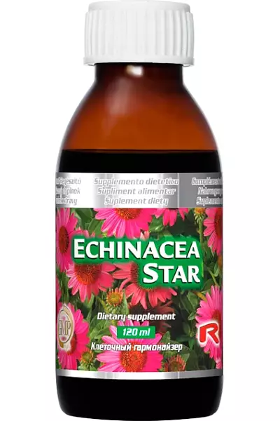 ECHINACEA STAR photo