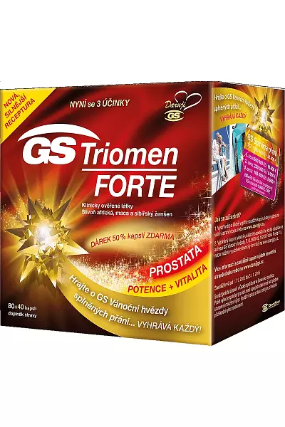GS Triomen FORTE photo