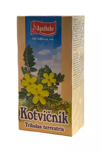 Kotvičník – čaj photo