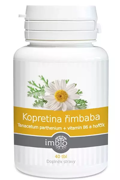 Kopretina řimbaba photo