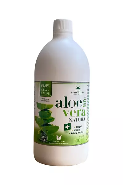 Aloe natura photo