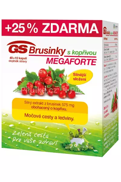 GS Brusinky MEGAFORTE photo