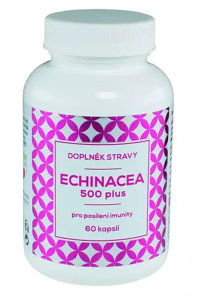 Echinacea 500 plus photo