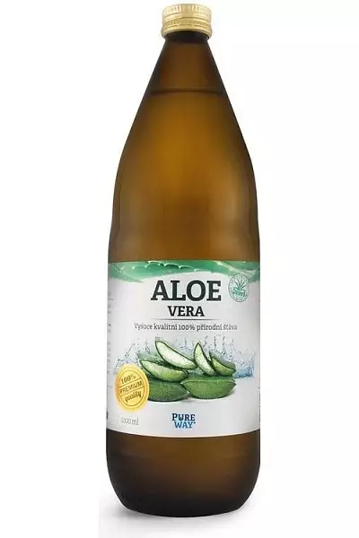 Aloe vera premium photo
