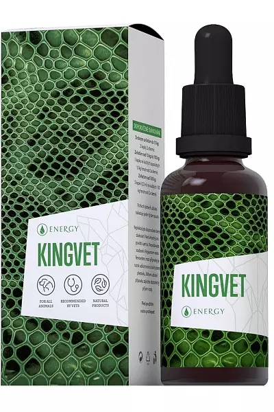 Kingvet photo