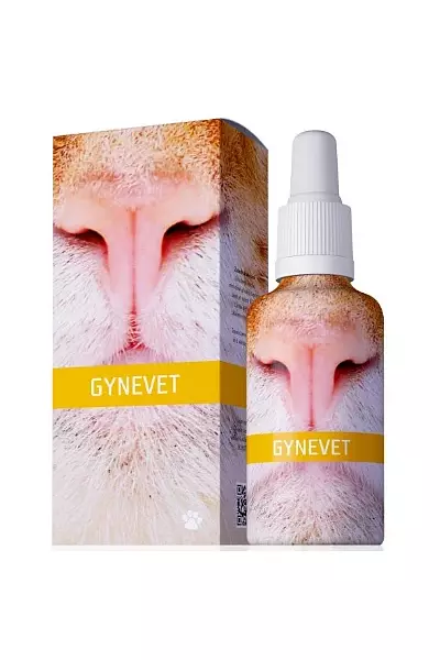 Gynevet photo
