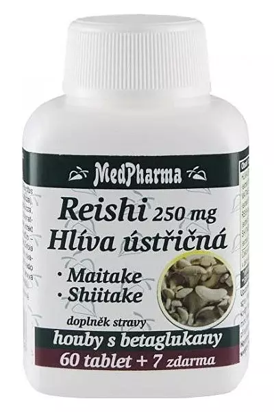 Reishi + hlíva + maitake + shiitake photo