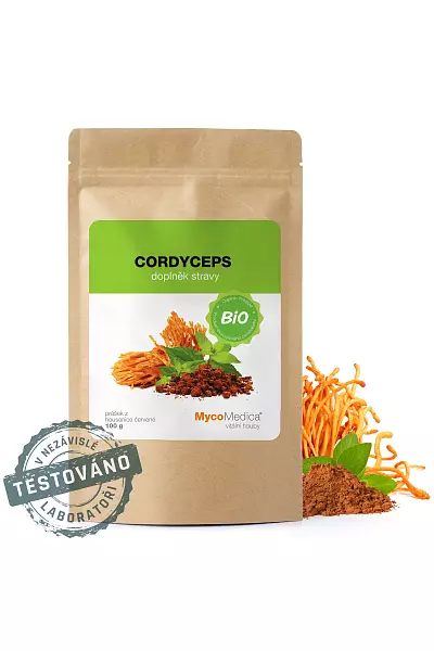 Cordyceps prášek photo