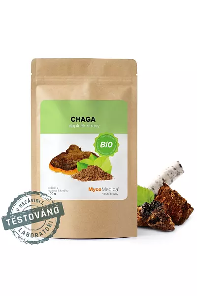Chaga – prášek photo