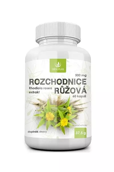 Rozchodnice růžová photo