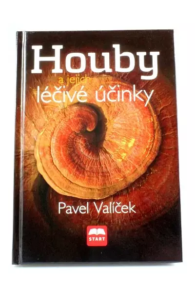Houby a jejich léčivé účinky photo