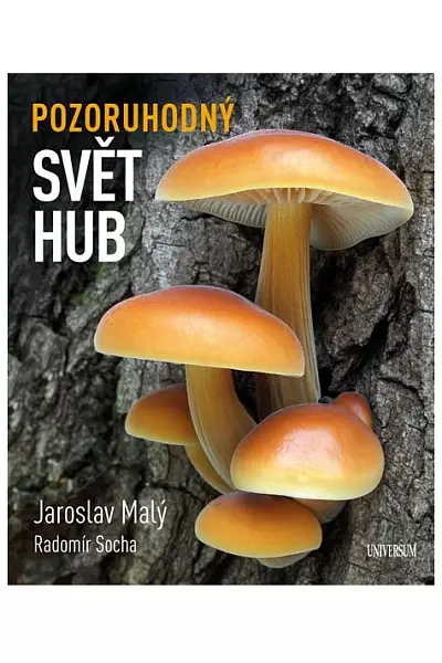 Pozoruhodný svět hub photo