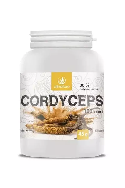 Cordyceps – Allnature photo
