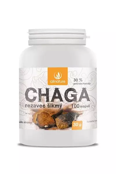 Chaga – Allnature photo